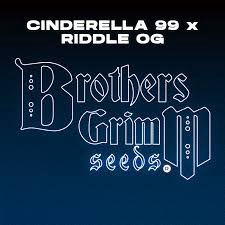 BROTHERS GRIM SEED PACKS / Cinderella 99 X Riddle OG - 9 seeds